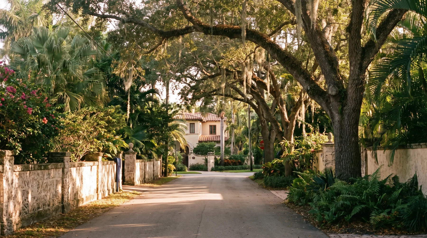 A quiet, tree-lined residential street in Coral Gables.